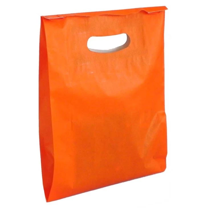 Sacchetti di plastica