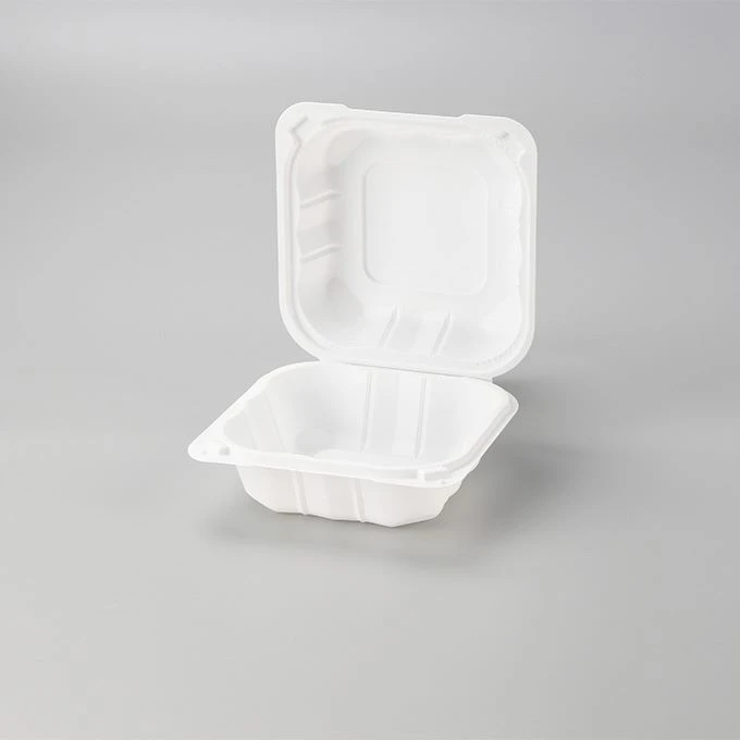 Disposable Bento Lunch Box