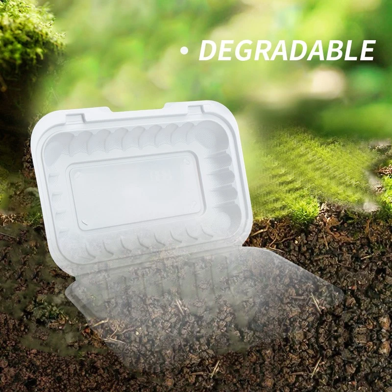 product-800-800