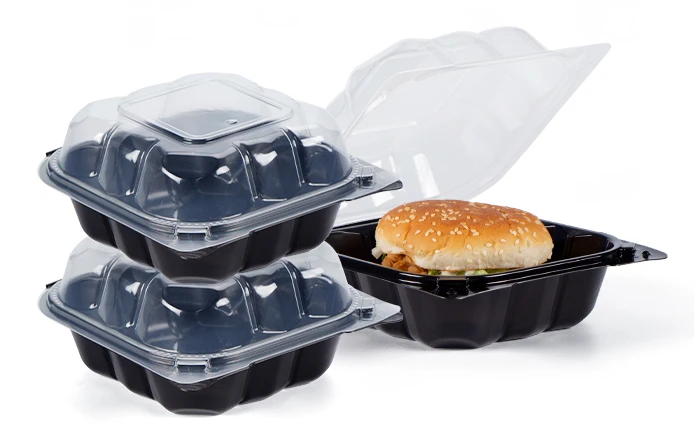 disposable lunch box