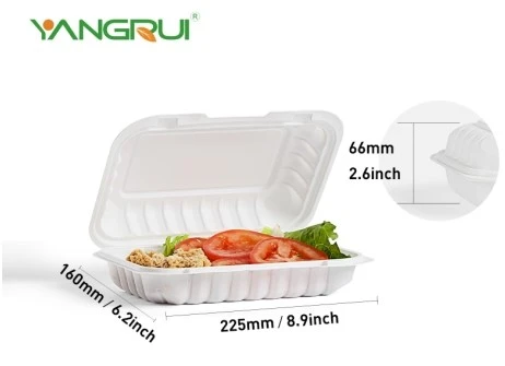 20231101180220 MFPP White Take out lunch box