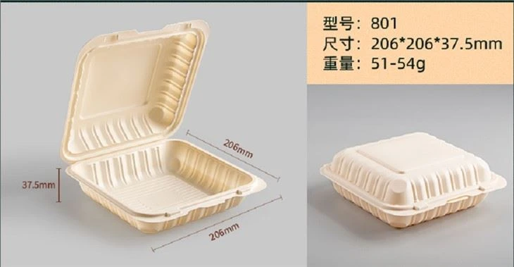 Contenitore per alimenti usa e getta da asporto con cerniera da 20,3 x 20,3 cm, biodegradabile