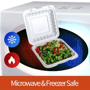 Scatole pranzo ecologiche usa e getta