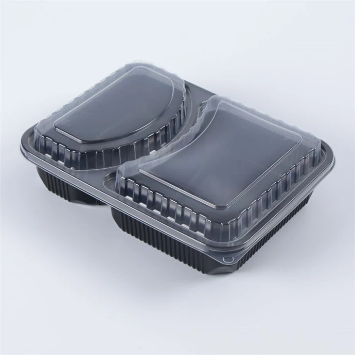 Scatole Bento da asporto in plastica a 2 scomparti