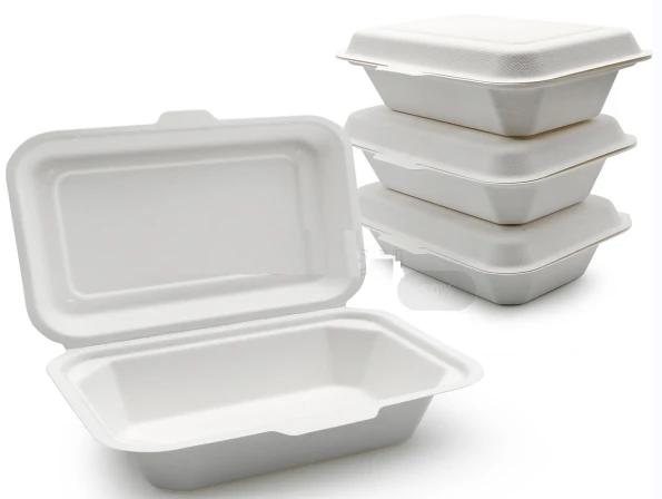 Bagasse To Go Contenitori con coperchi