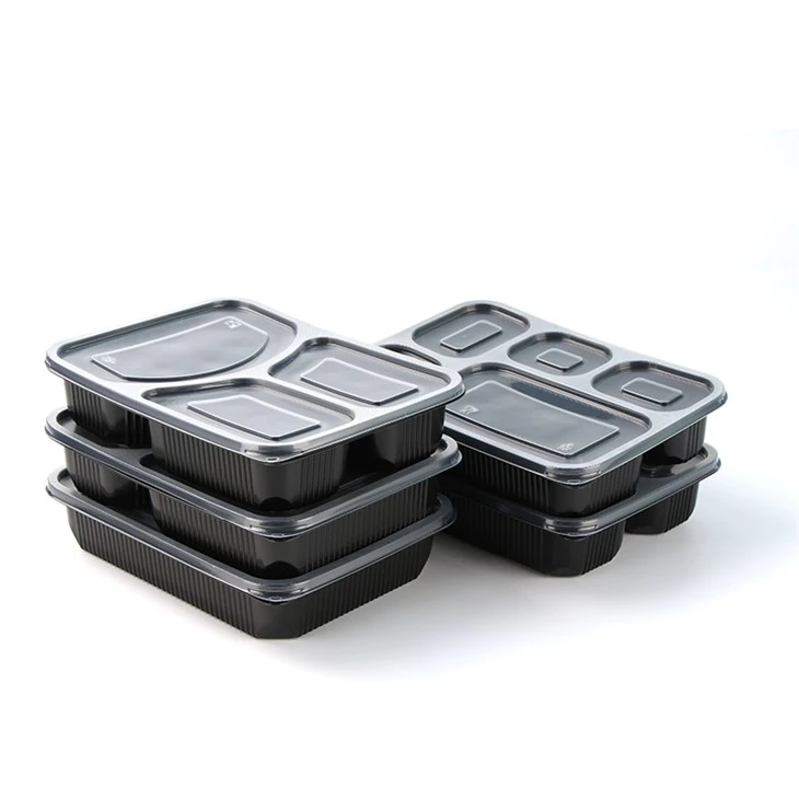 Bento Box Portapranzo per adulti Adatto al microonde