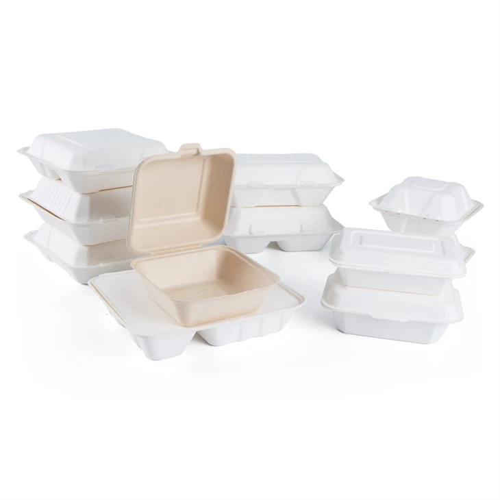 Box per il pranzo compostabile