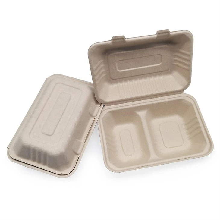 Contenitori compostabili da asporto