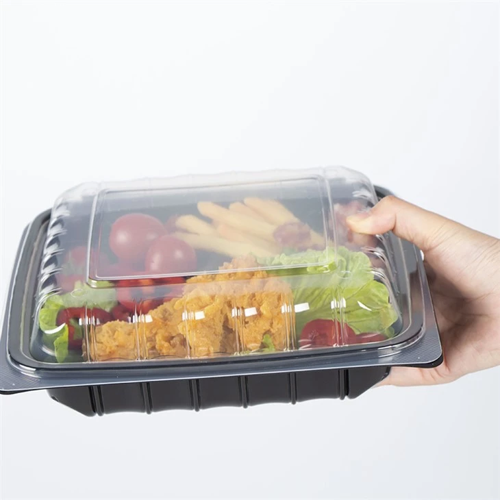 Contenitori per alimenti usa e getta