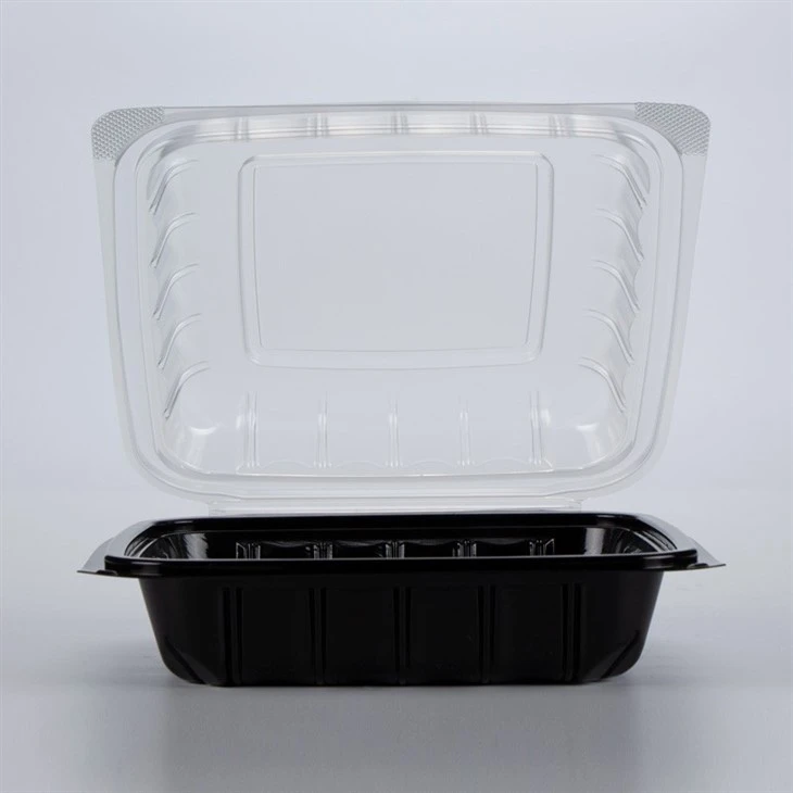Disposable Food Storage Container