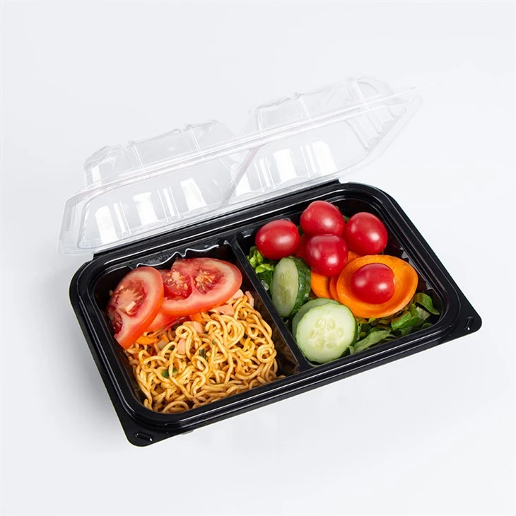 Bento Box usa e getta per sushi da asporto