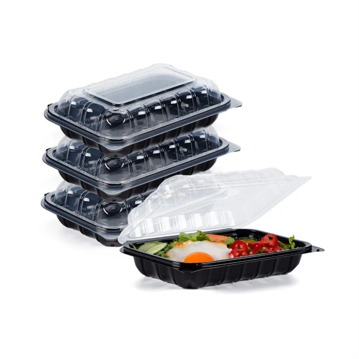 Scelta ecologica: contenitori per alimenti in plastica usa e getta per mangiare fresco e in movimento