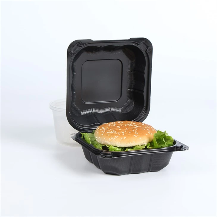 Bento Box usa e getta ecologico