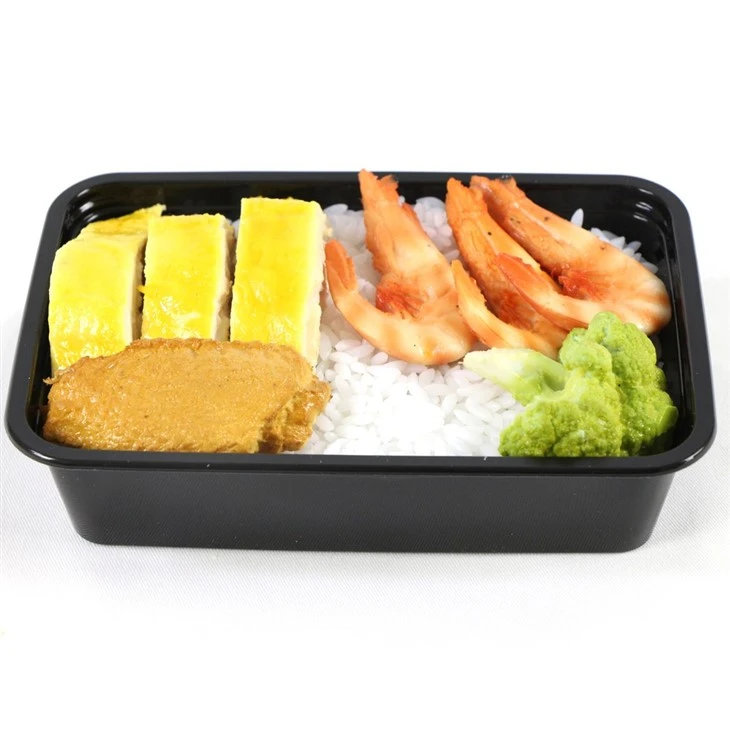 Food Storage Containers Plastic Large