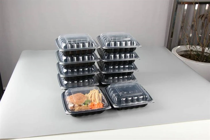 Contenitore per alimenti in plastica da asporto