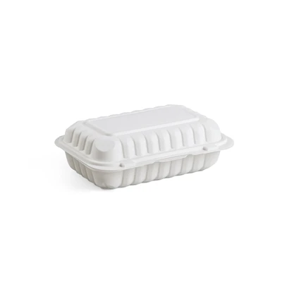 Contenitori per il pranzo usa e getta ecologici: riduci la marea di plastica ...