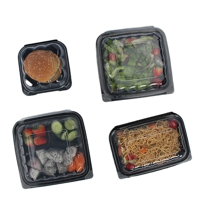 Contenitori In Plastica Per Alimenti Usa E Getta