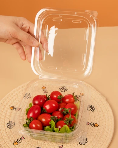 Insalatiere in plastica quadrate