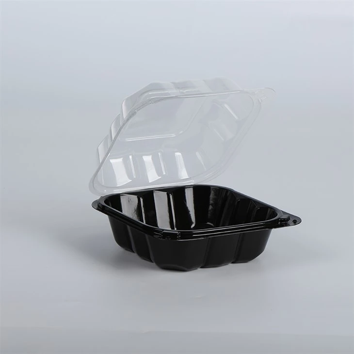 Contenitori da asporto in plastica