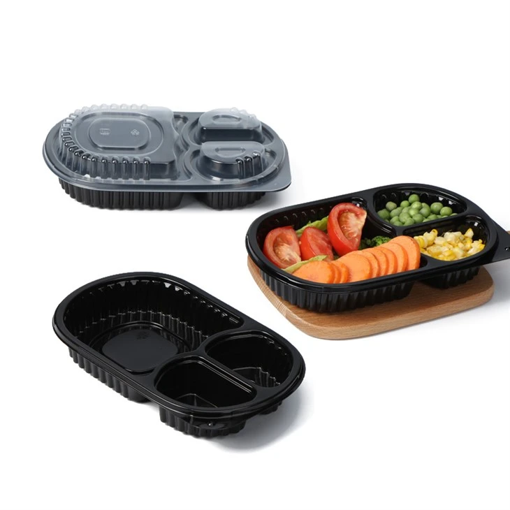 Contenitori da asporto in plastica