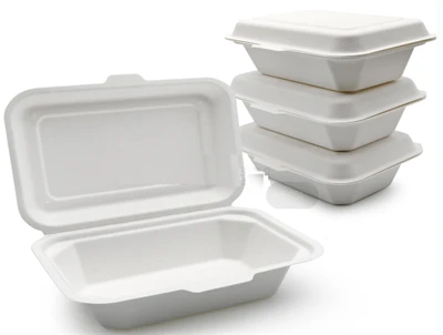Bagasse To Go Contenitori con coperchi