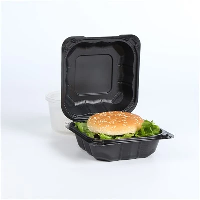 Bento Box usa e getta ecologico