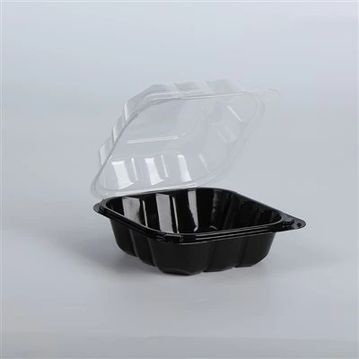 Contenitori da asporto in plastica