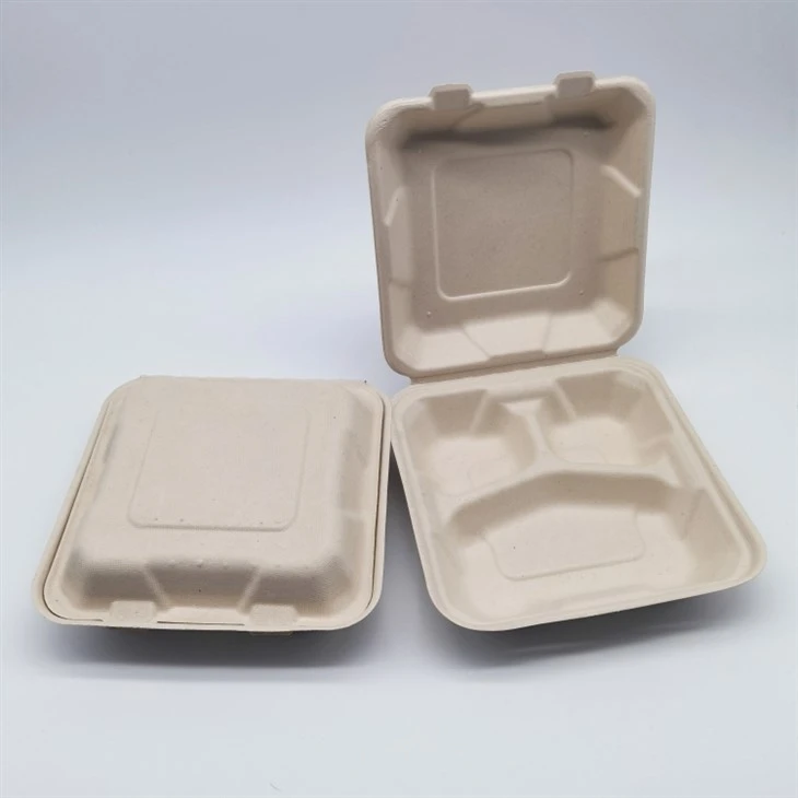 Contenitore per alimenti in bagassa di canna da zucchero 9''x9''