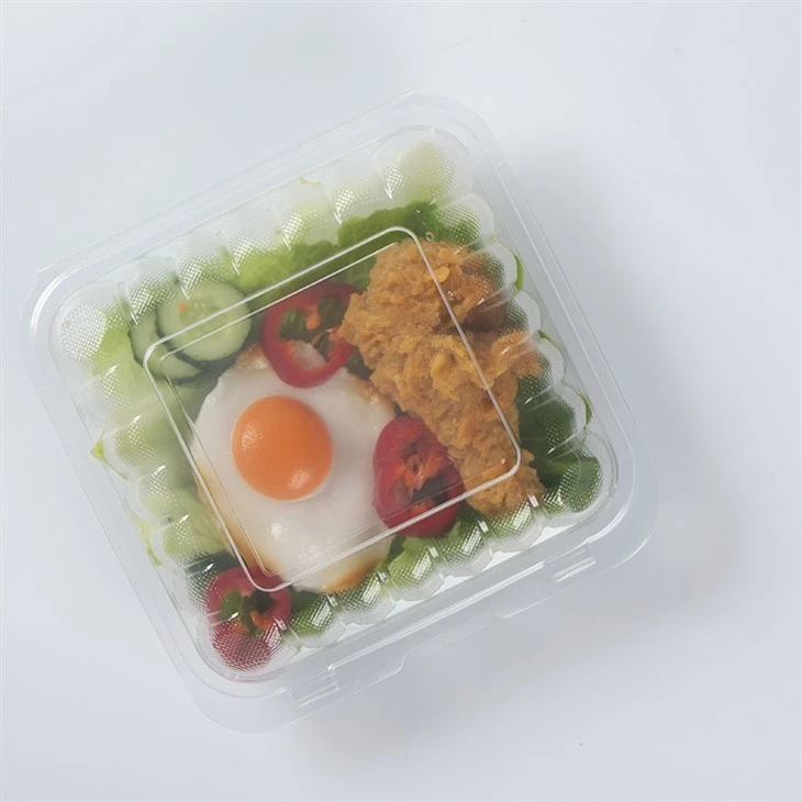 Porta pranzo Bento per alimenti usa e getta da asporto