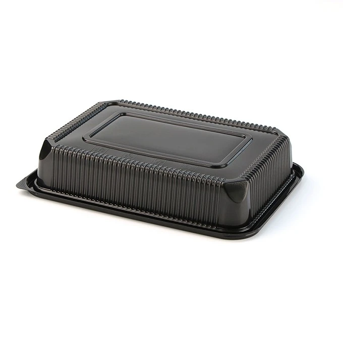Takeout Bento Boxes With Airtight Lid
