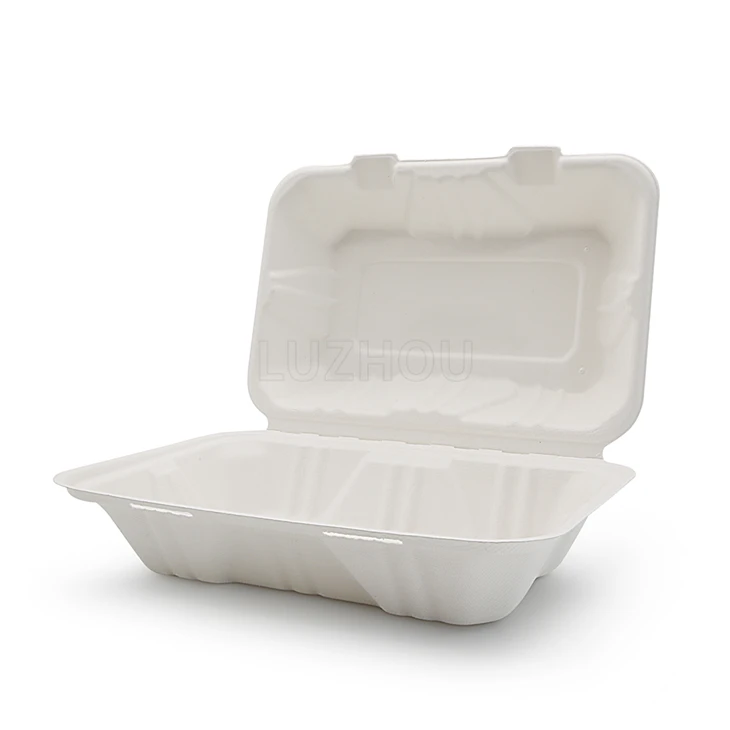 To Go Contenitori Bagasse incernierati
