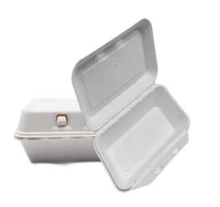 To Go Contenitori Bagassa