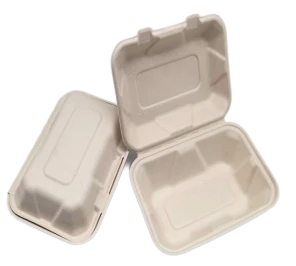To Go Contenitori Bagassa usa e getta