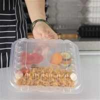 clear dessert to-go containers clear dessert to-go containers