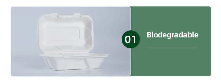 china disposable lunch box factory china disposable lunch box factory