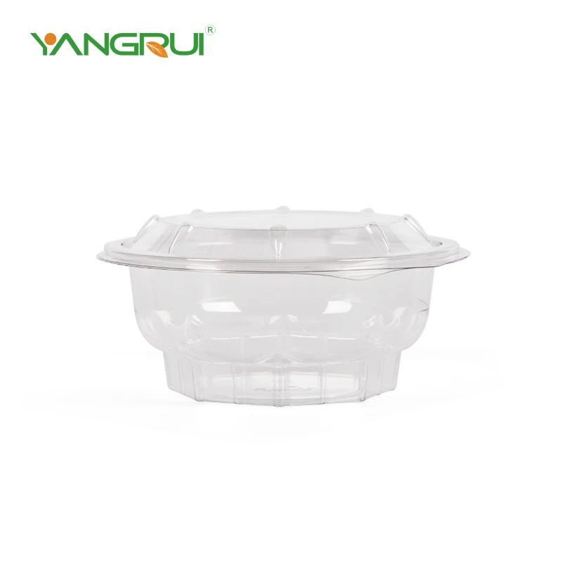 Contenitori per insalata in PET