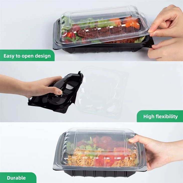 Plastic Container Takeout factory