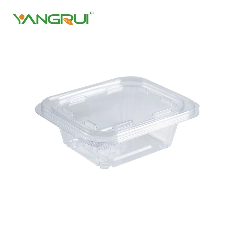 Contenitori in plastica termoformati