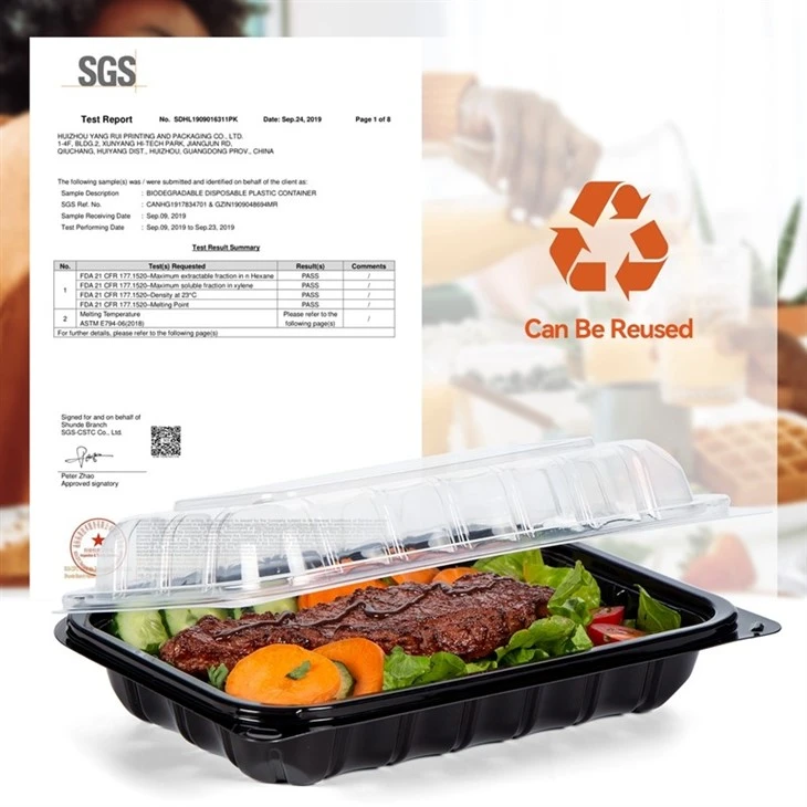 Togo Box With Clear Lid factory